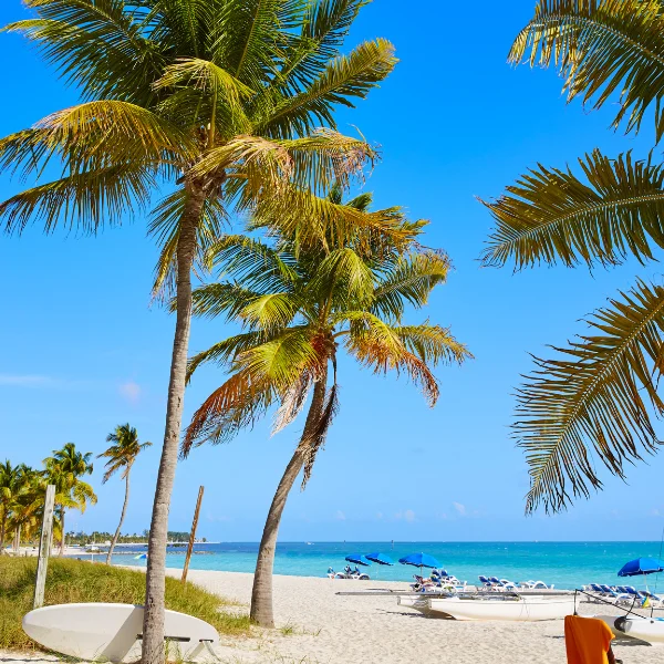 Image representing Big Pine Key, FL.